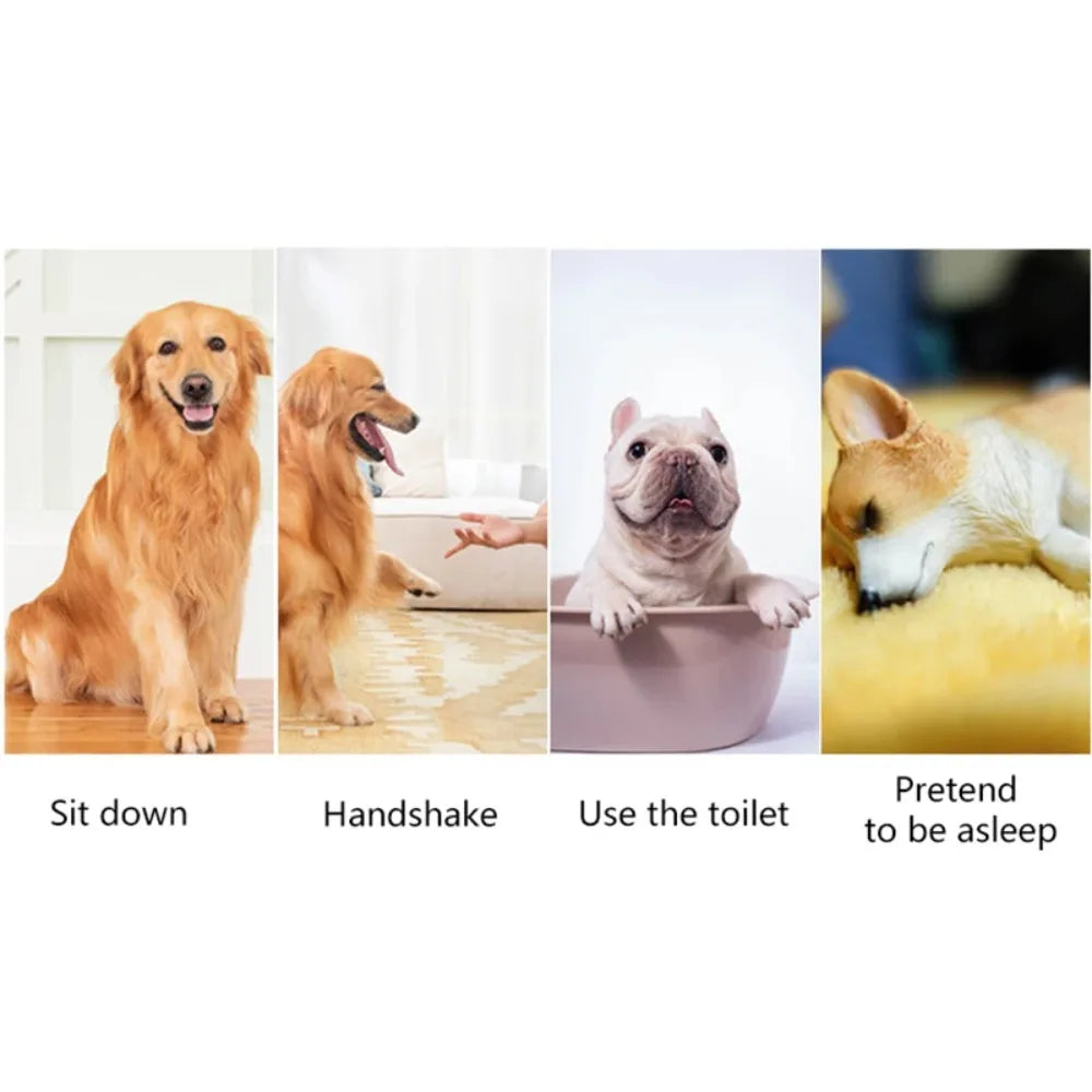 1pc Pet Thumb Training Interactive Acoustic Clicker Trainer No Battery Required Positive Reinforcement Pet Behavior TrainingTool